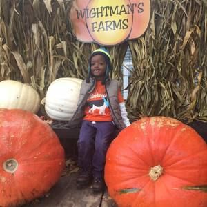 Meet your Posher, Oneeka